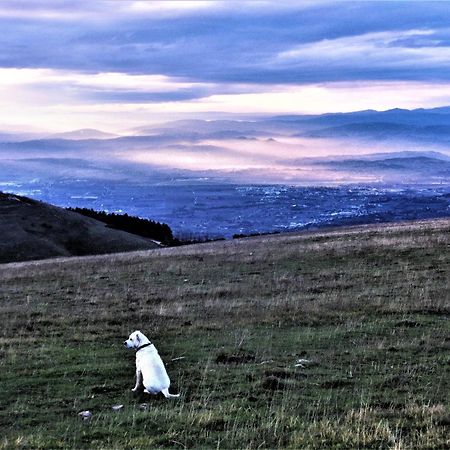 Da Franca Bed & Breakfast Assisi Luaran gambar