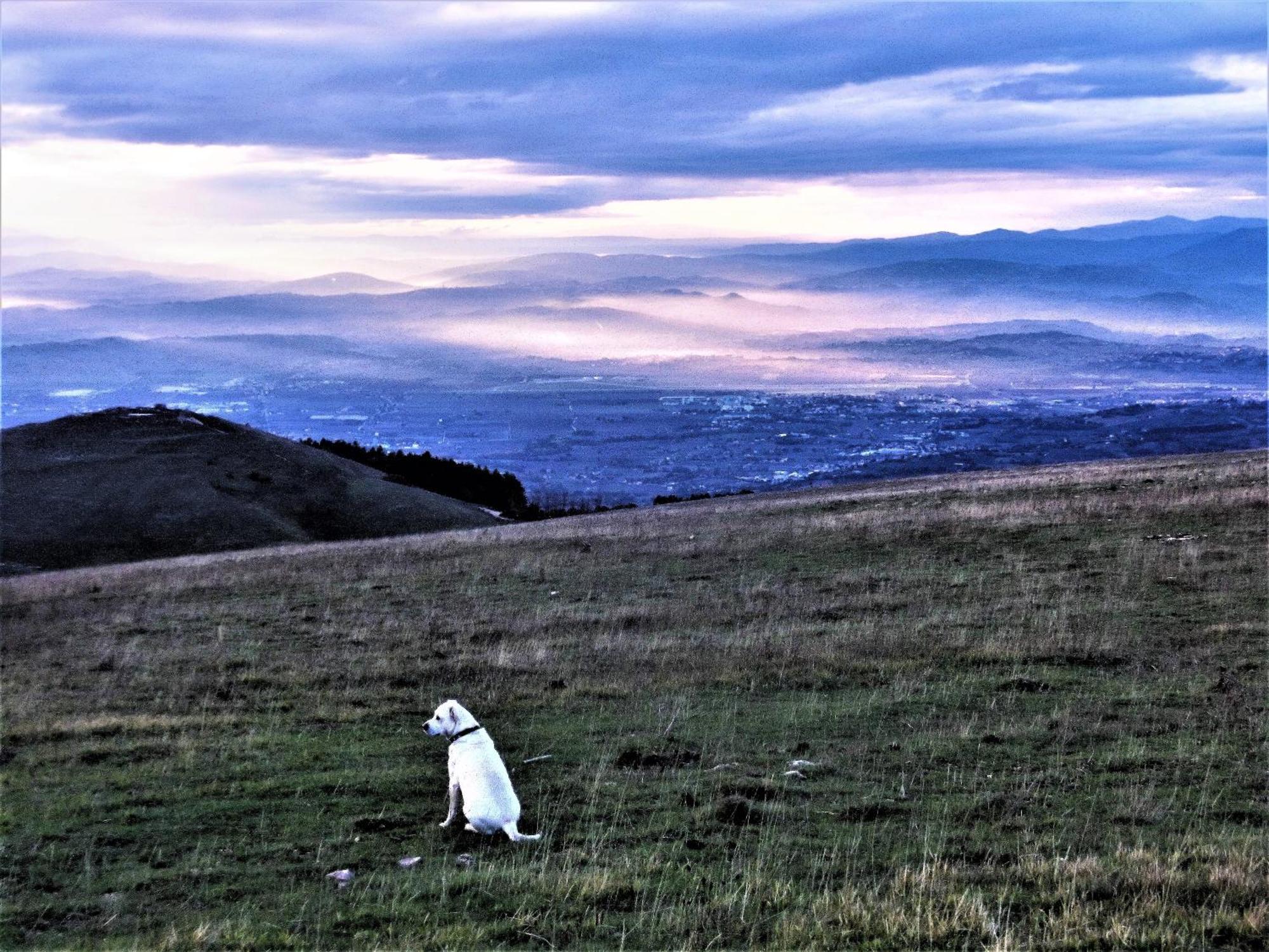 Da Franca Bed & Breakfast Assisi Luaran gambar