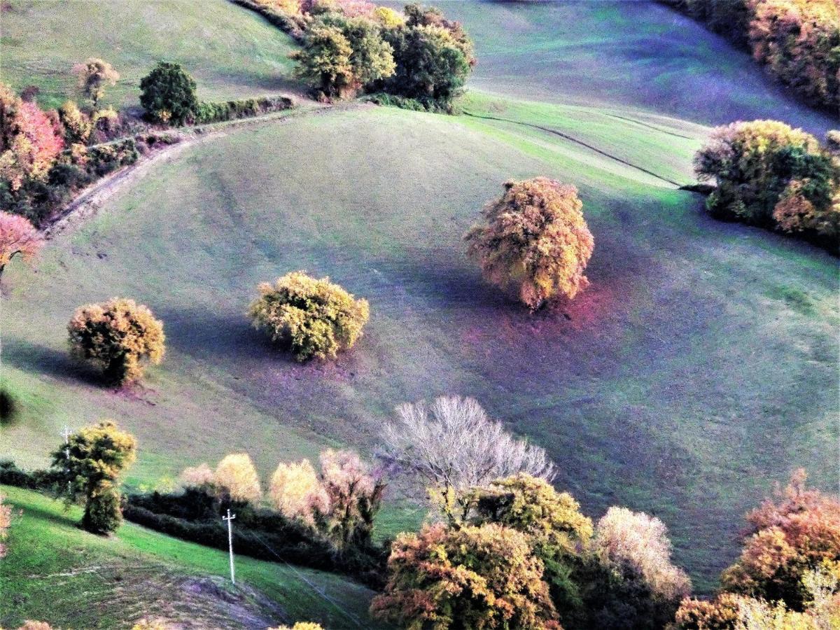 Da Franca Bed & Breakfast Assisi Luaran gambar