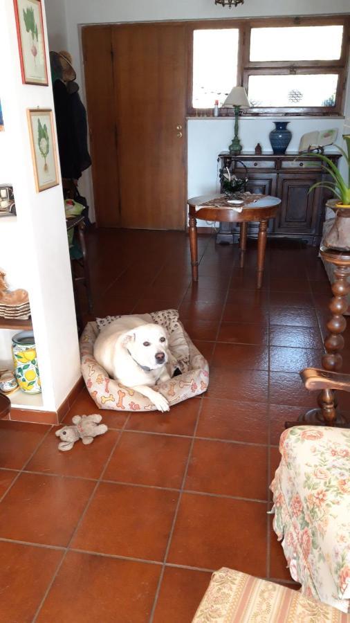 Da Franca Bed & Breakfast Assisi Luaran gambar